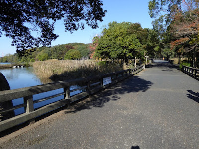 【大阪府枚方市】山田池公園・秋の紅葉ウォーキング