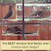The BEST window bird feeder every Great product design