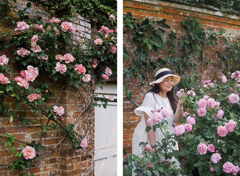 Spring Beauty Blooming Trees And Shrubs Susan S In The Garden