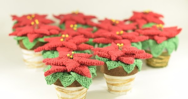 kleine weihnachtssterne