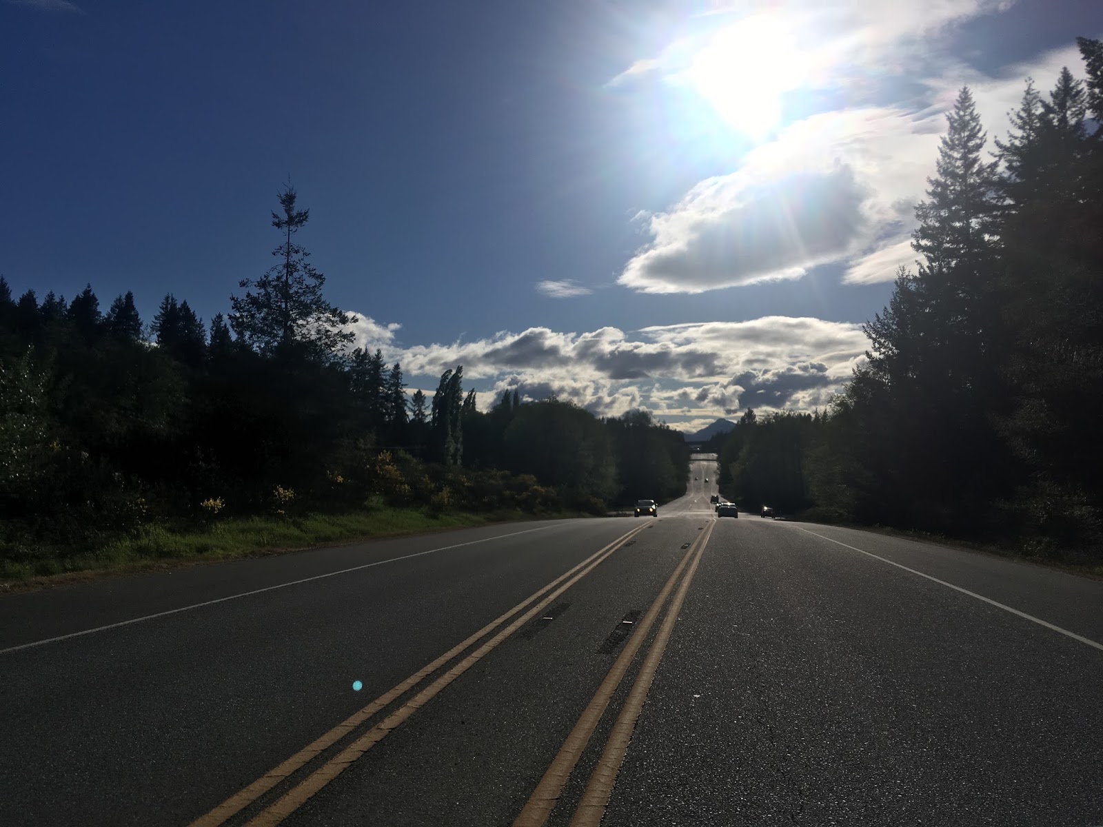 Washington State Route 303 - Wikipedia