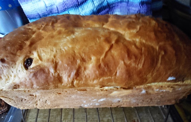 Grinscheles Welt: Grinscheles - Rosinen - Brot