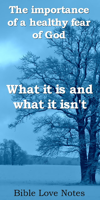 Fear of falling in love picture