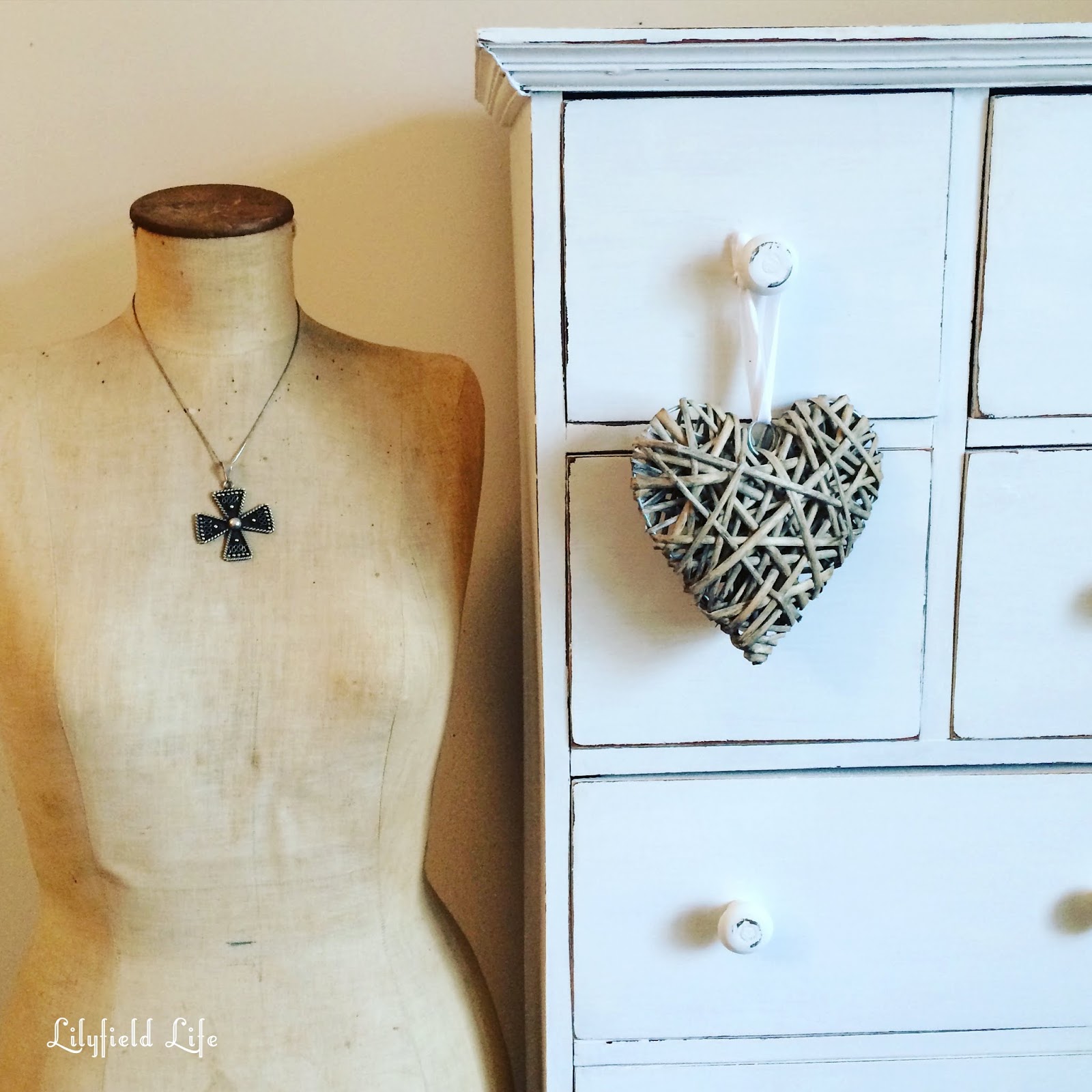 Cotton Lace Drawers (White）