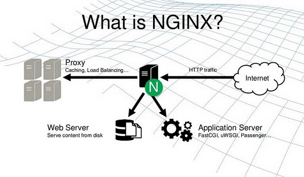 NGINX là gì? NGINX mang lại lợi ích thực tế cực kì lớn.