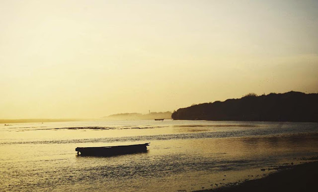 Pantai Baros Bantul, Wisata dengan Hutan Mangrove