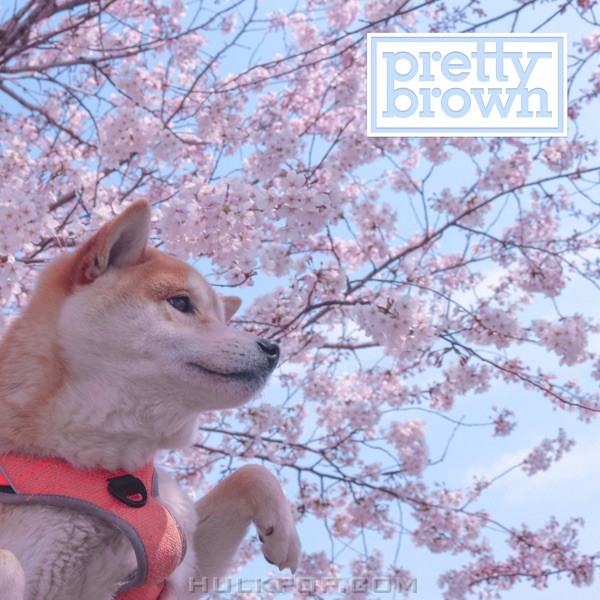 Pretty Brown – Just Like Now – Single