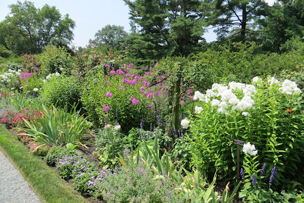 A GUIDE TO NORTHEASTERN GARDENING: Summertime at the Beautiful Old ...