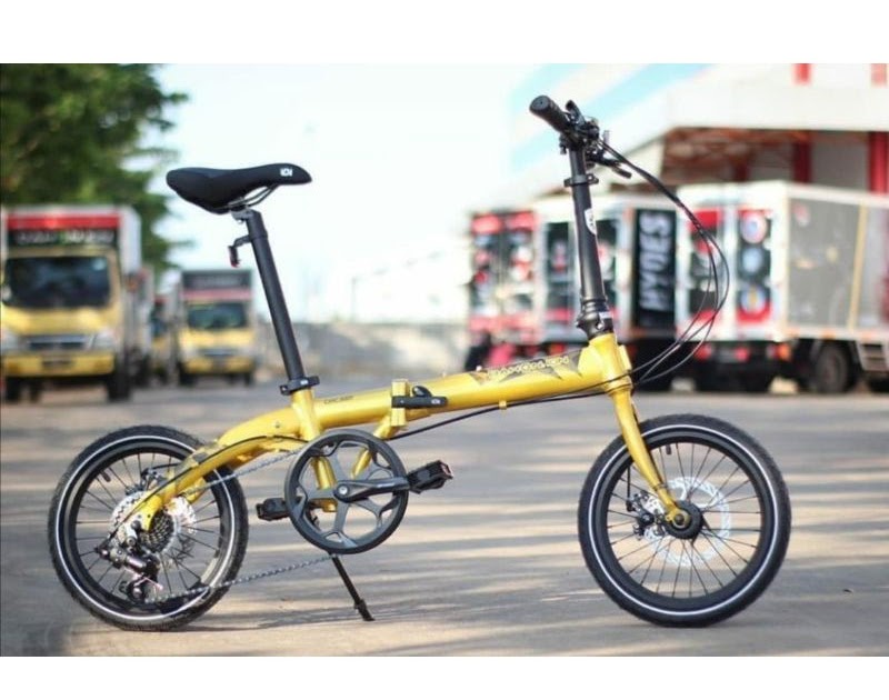dahon ion harga