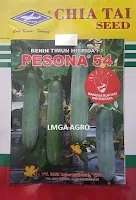 pesona 54, pesona 54 f1, benih timun pesona 54, bibit timun pesona 54, bibit mentimun pesona 54, timun pesona 54, mentimun pesona 54, timun pesona 54 murah, jual timun pesona 54, timun pesona 54 terbaik, timun pesona 54 terbaru, bisi, chia tai seed, cap kapal terbang, lmga agro