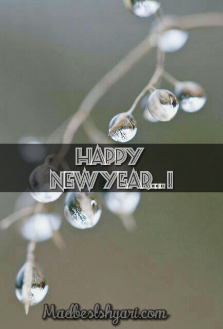 happy new year 2020 photo download happy new year 2020 photo download