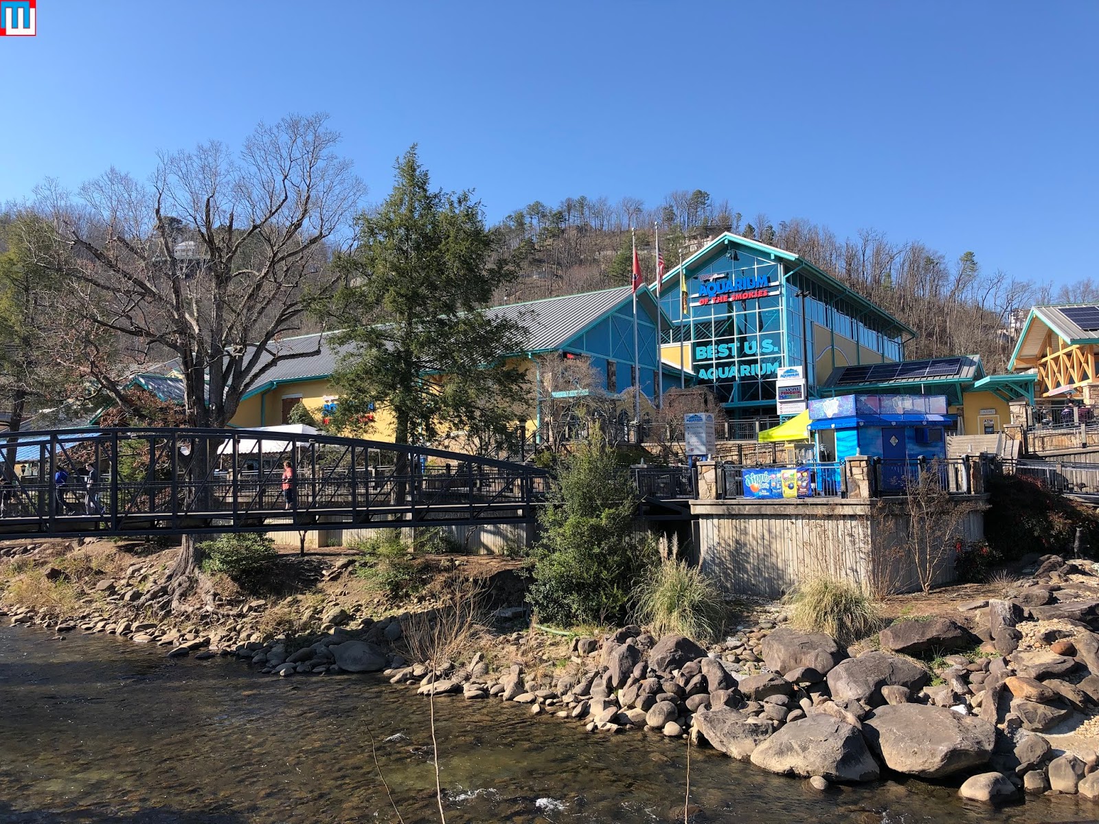 MidwestInfoGuide Ripley's Aquarium of the Smokies