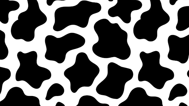 cow print wallpaper