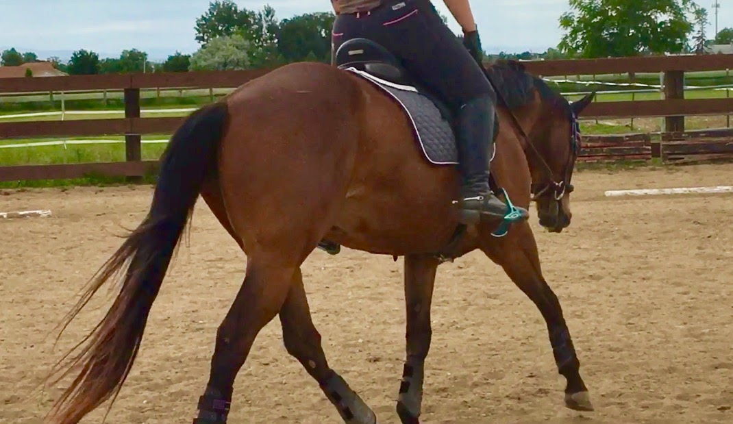 SprinklerBandits Ruthlessly Exclude The Journey