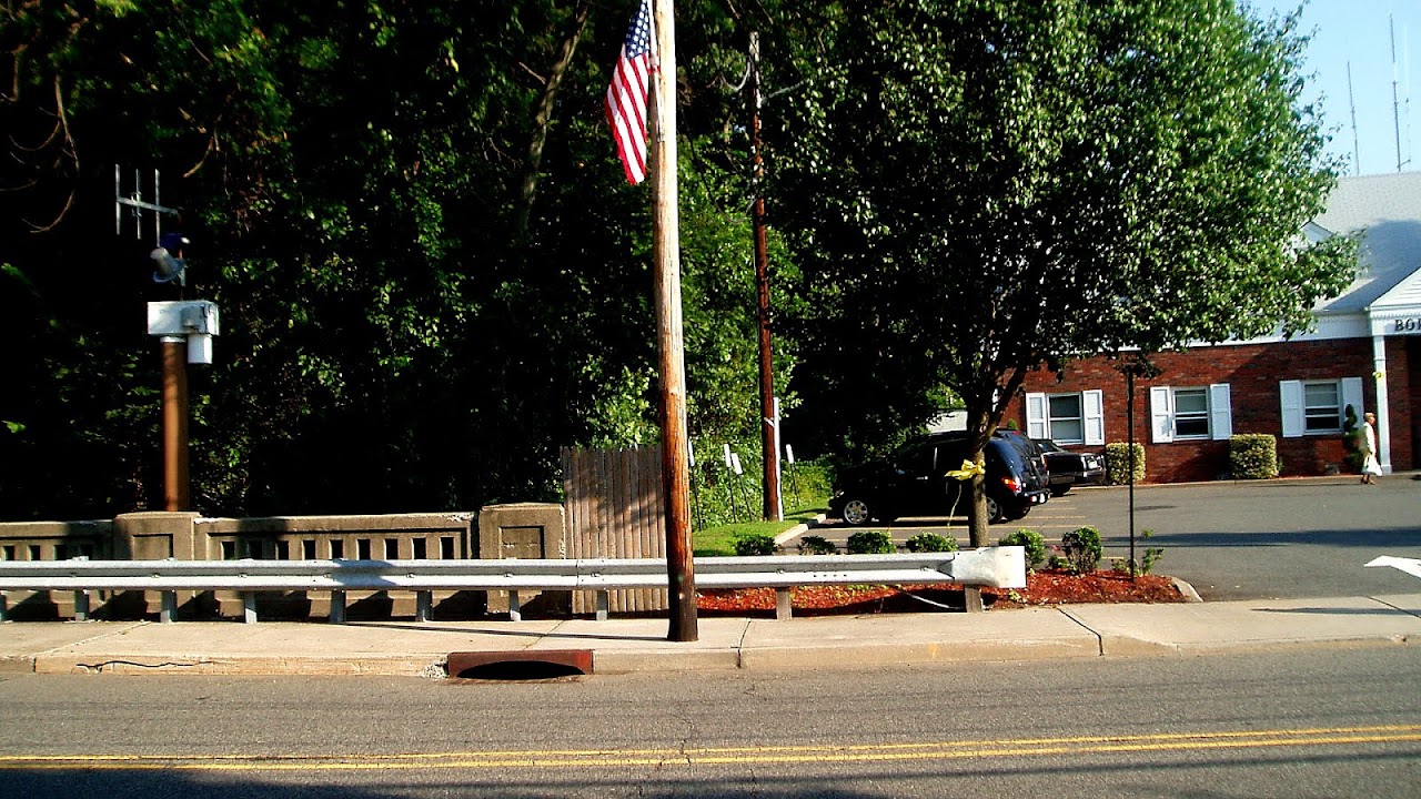 North Haledon, New Jersey Tree Tree Choices