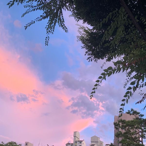 what_color_7 – Memory – Single