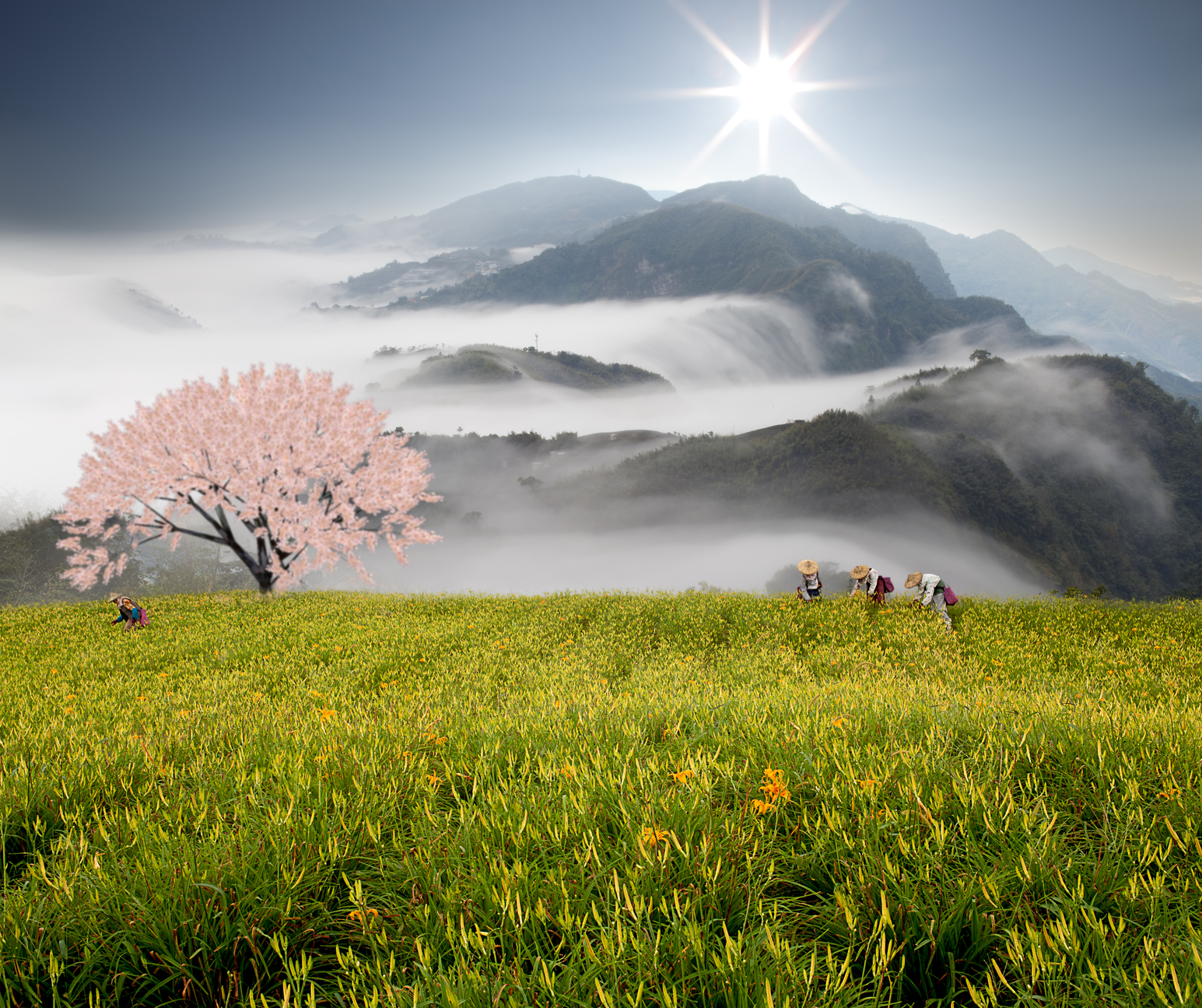 imagenes de paisajes sonoros imagenes de paisajes sonoros