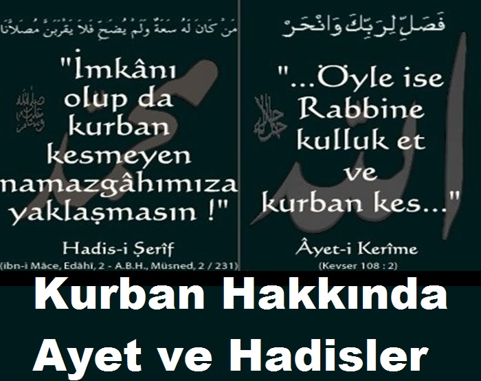 erolkara net bilmek gerek