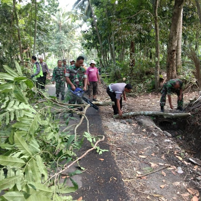 Antisipasi Akan Datangnya Hujan Dan Badai Angin TNI-POLRI Dan Masyarakat Lakukan Pemangkasan Pohon