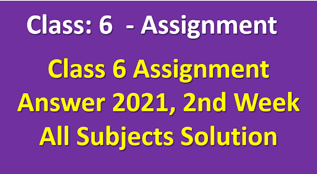 Class 6 Assignment Answer 2021, 2nd Week All Subjects Solution