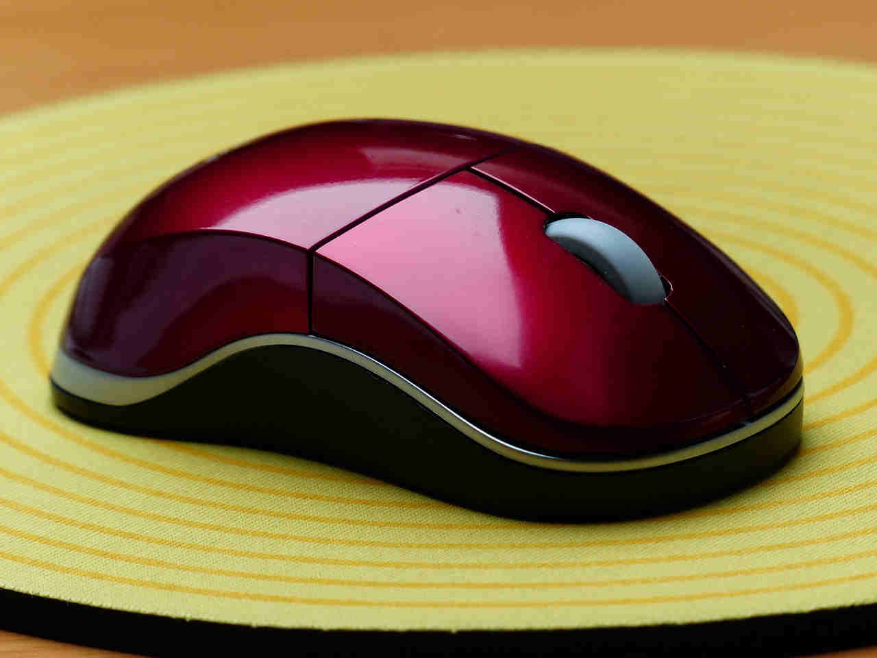 माउस के प्रकार क्‍या है ?What are the types of Mouse in Hindi