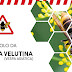 VESPA VELUTINA - Município de Penacova quer georreferenciar e mapear os apiários do concelho
