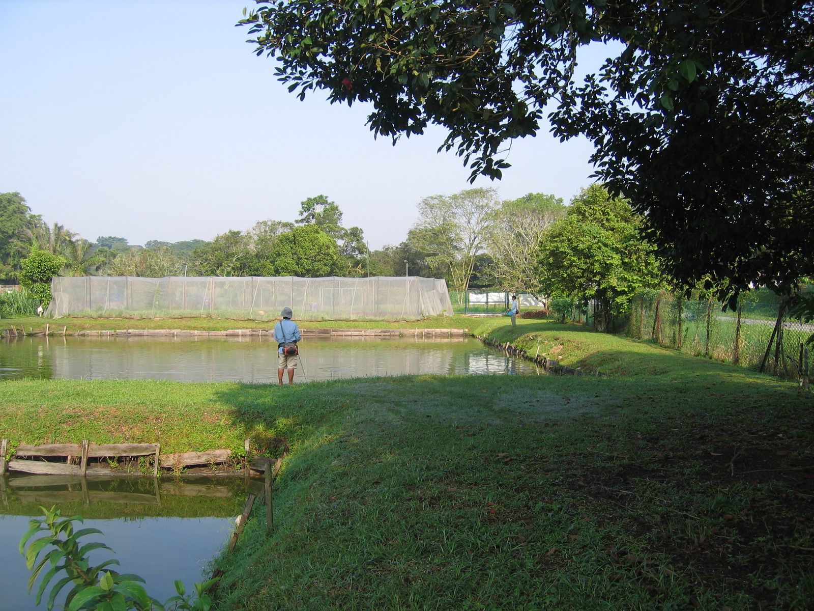 Fly Fishing Journal Yishun Bottle Tree Park