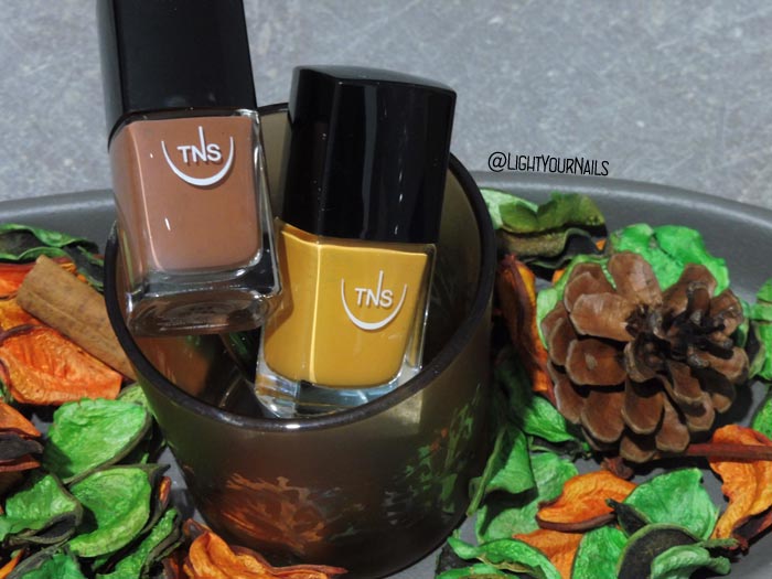 Smalti TNS Cosmetics Firenze Divina Terra #unghie #nails Smalti TNS Cosmetics Firenze Divina Terra #unghie #nails