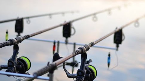 99 Arti Mimpi Mancing Ikan Gabus Menurut Primbon, Islam, Hindu Dan Kristen  - Mimpi Mancing