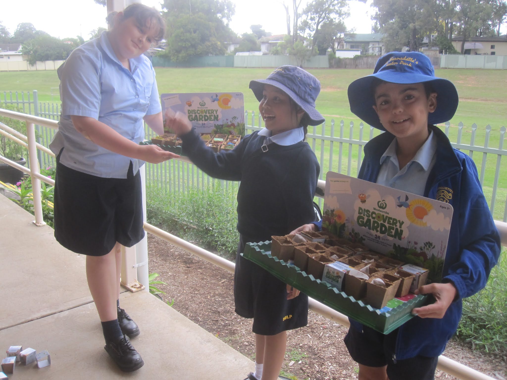 Kitchen Gardens in Schools