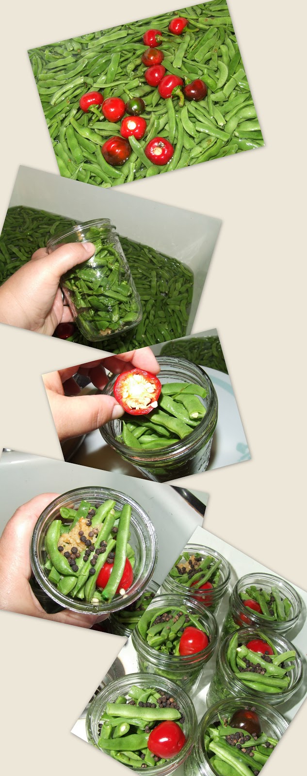 Stuff by Cher Hot Pickled Green Beans