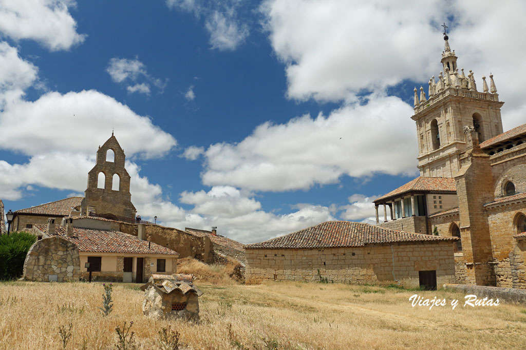 Támara de Campos