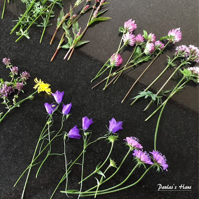 Arianeb Handmade Eierhenne Hennriette Wie Cool Ist Das Denn