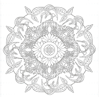 Shoreline Area News: Coloring Club for Adults