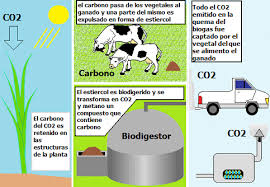 biogas elaboración