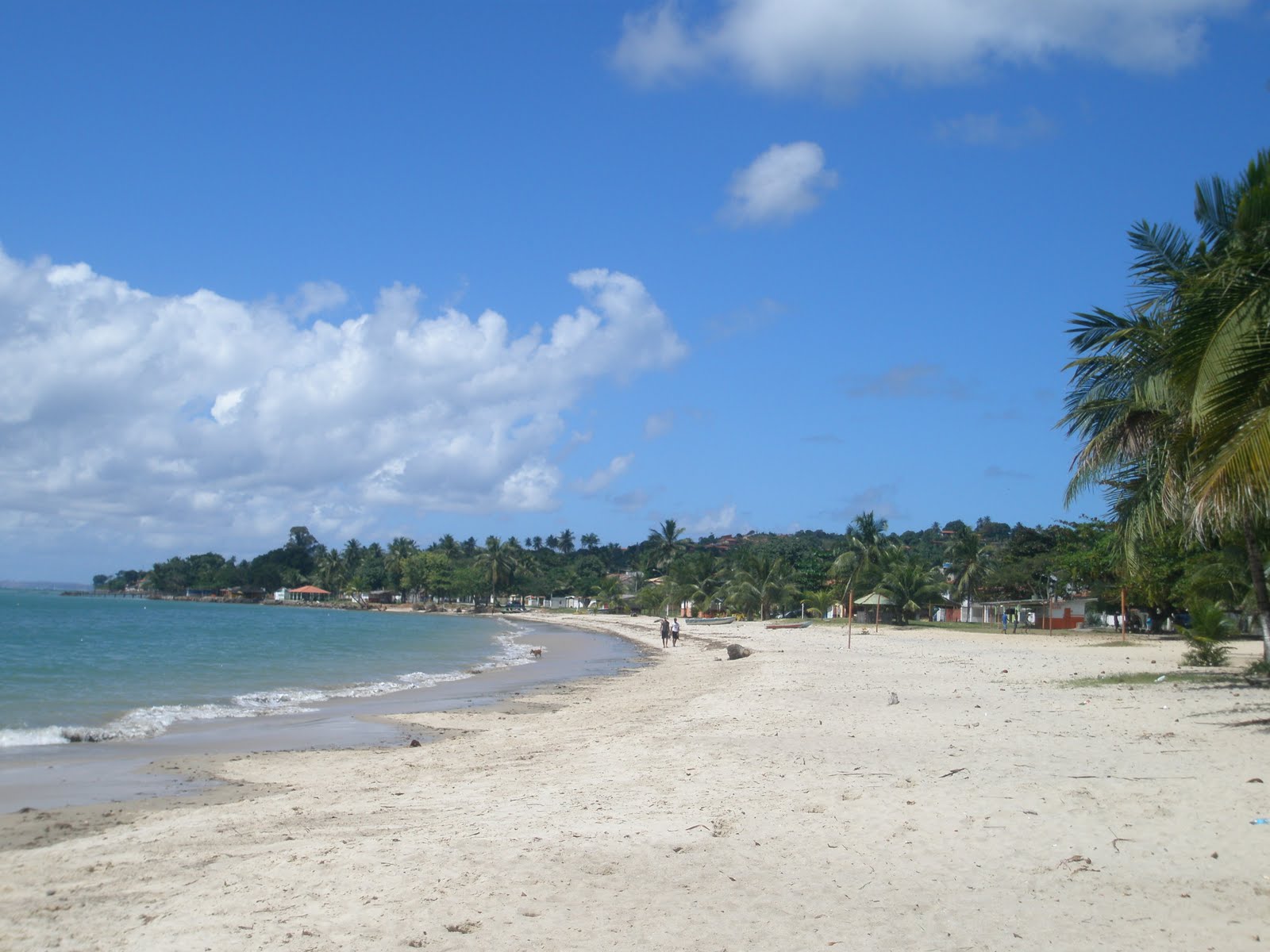 Volando voy...volando vengo Itaparica