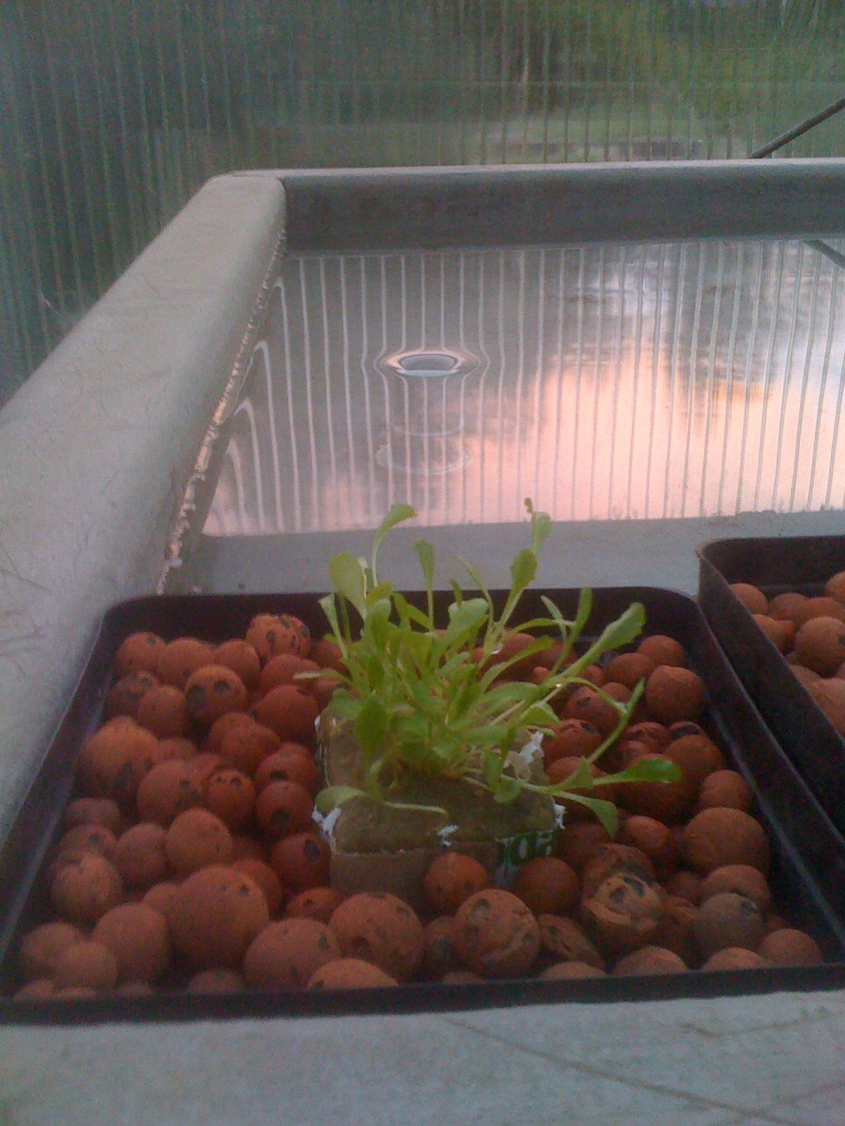 Hydroponics Blog Healthier Food The Hydroponic Ebb And Flow System 1