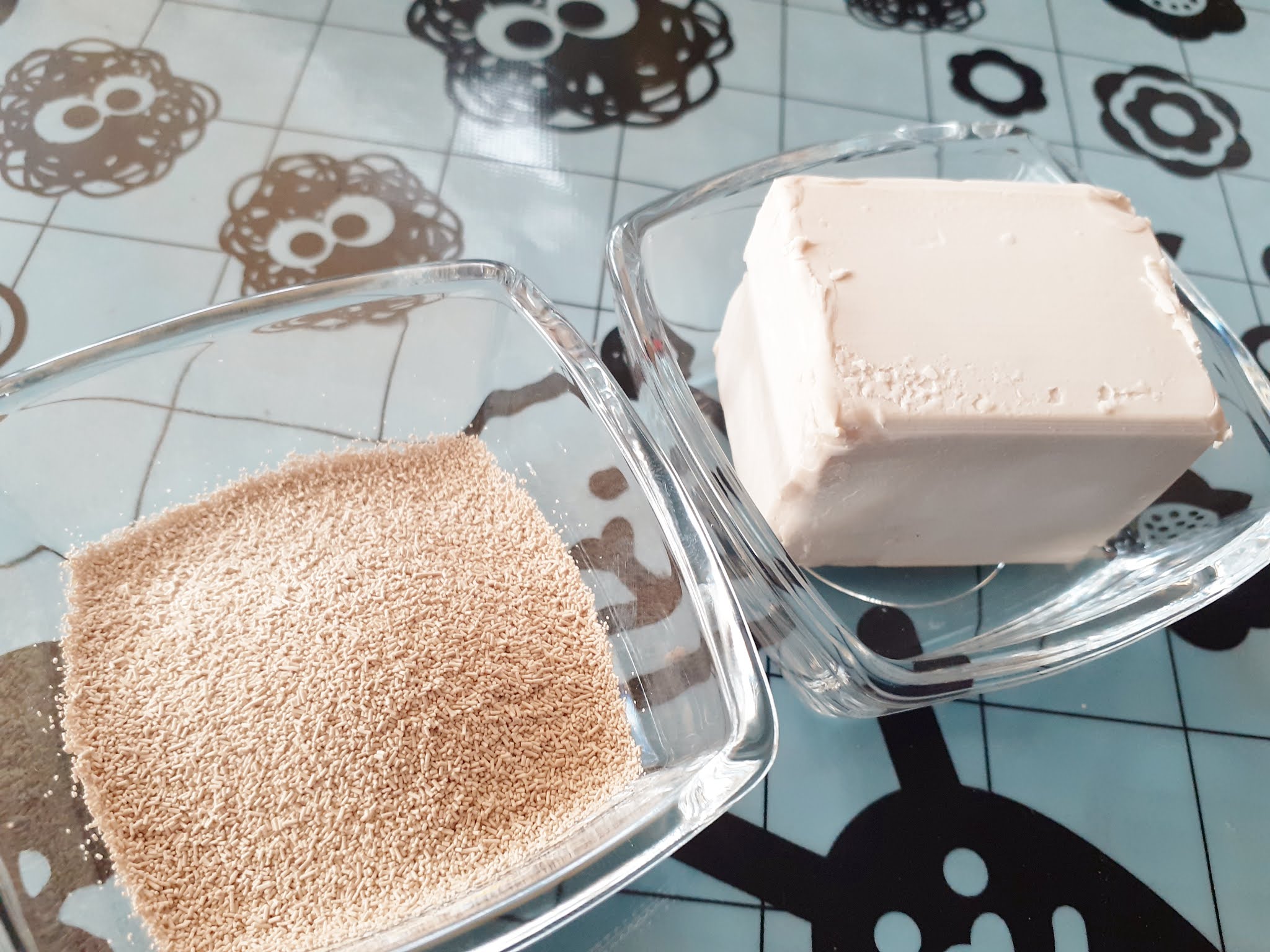 Baking Basics Dry Yeast vs Live Yeast