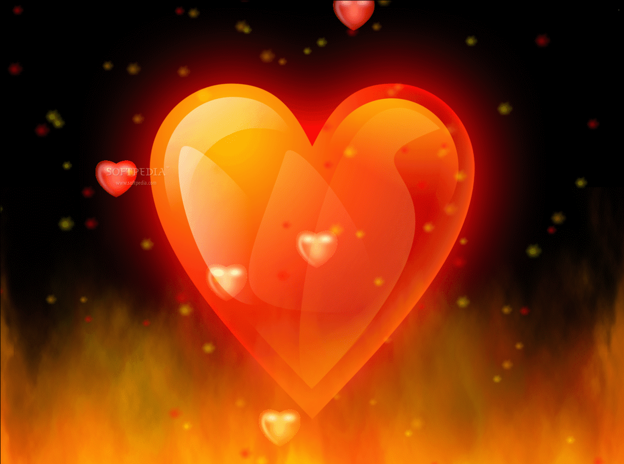 Love Animated Wallpaper