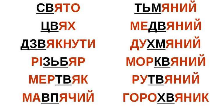 Вплив граматичного роду на правопис слова 