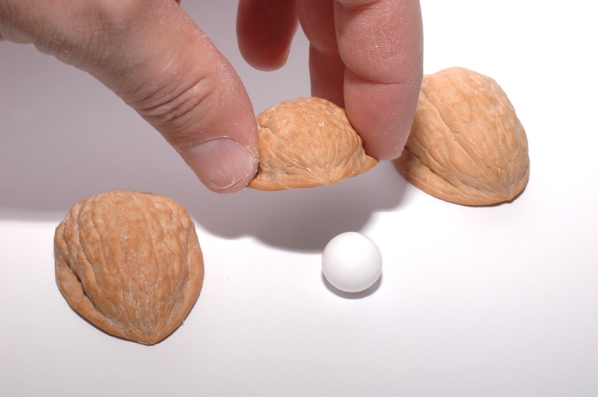 The Revolution Continues The Shell Game (and the Political Revolution)