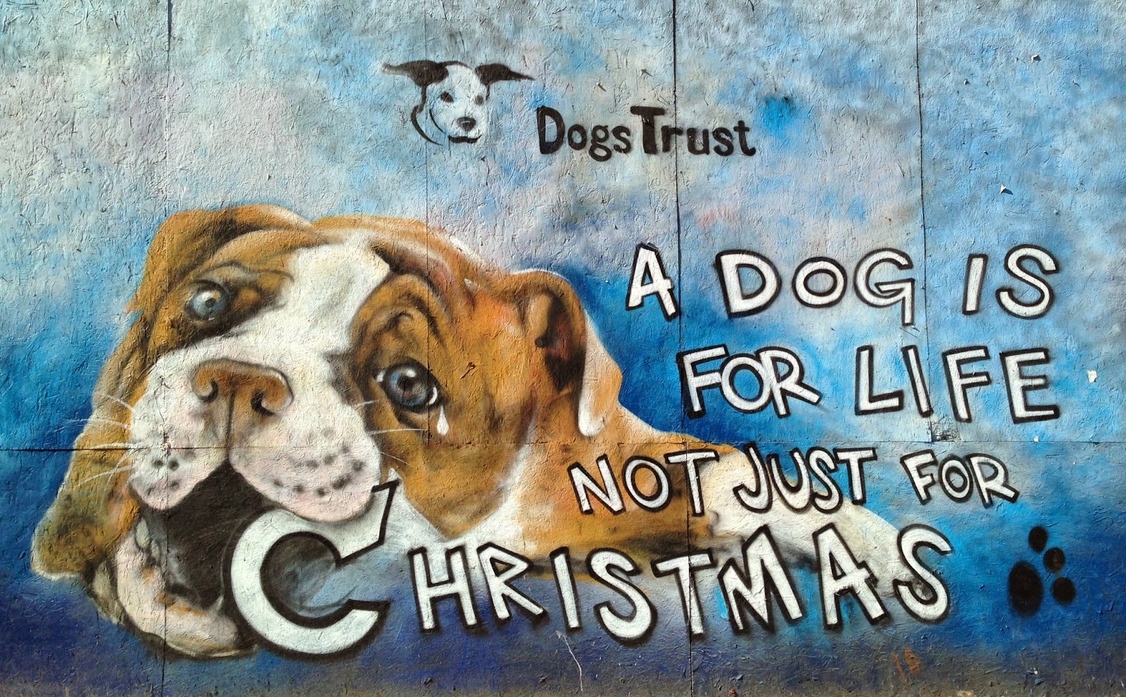 Hindsight A DOG IS FOR LIFE