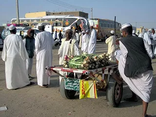 Onions for sale at the bus station in Dongola Sudan.
