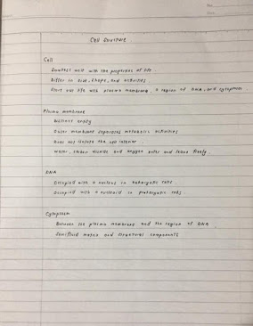 UED 102 : STUDY SKILLS PORTFOLIO