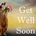 Top 10 Get Well Soon  Wishes Greetings  Images,  Pictures, photos   Whatsapp-bestwishespics,