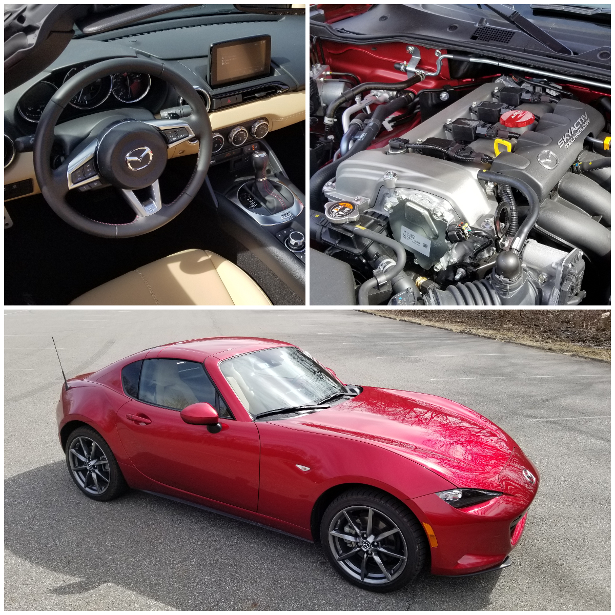 CRUISE CONTROL RADIO