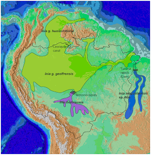 Amazon nehir yunusu doğal yaşam alanı haritası