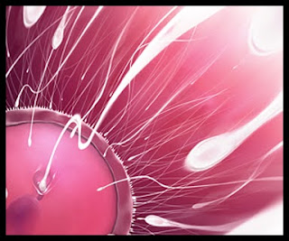 [CG] Bitchy Boss Bimbofication