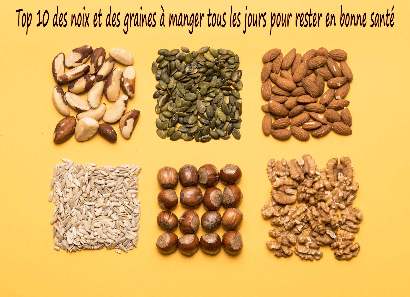 Top 10 des noix et des graines à manger tous les jours pour rester en bonne santé