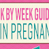 Week by Week Guide to Twin Pregnancy #infographic